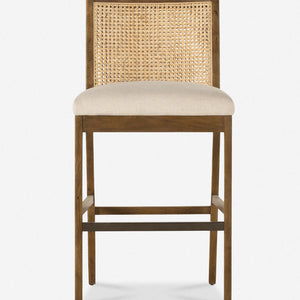 Jeni Bar and Counter Stool