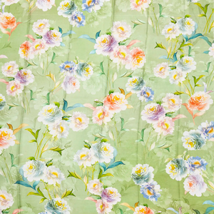 Light Green Handloom Kanchipuram Silk Saree With Printed Border and Pallu