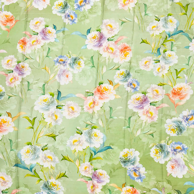 Light Green Handloom Kanchipuram Silk Saree With Printed Border and Pallu