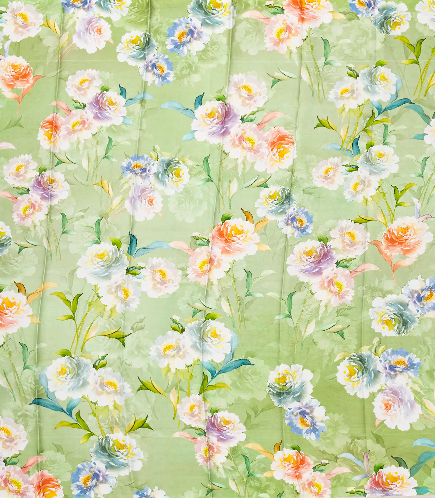 Light Green Handloom Kanchipuram Silk Saree With Printed Border and Pallu