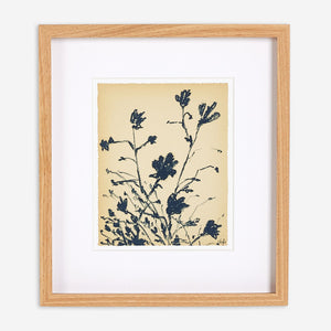 Summer Weed Wall Art by Shaina Page