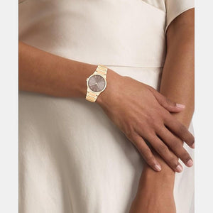 Ck Linear Elegance Women Quartz Brown Dial Analog Stainless Steel Watch 25100078