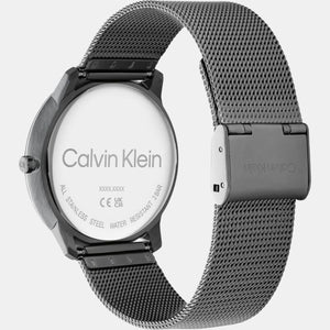 Ck Iconic Unisex Quartz Grey Dial Analog Stainless Steel Watch 25200030
