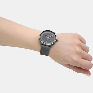 Ck Iconic Unisex Quartz Grey Dial Analog Stainless Steel Watch 25200030