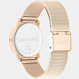 Ck Iconic Unisex Quartz Gold Dial Analog Stainless Steel Watch 25200035
