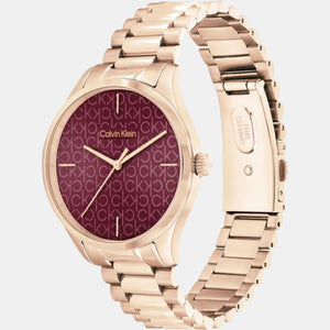 Ck Iconic Unisex Quartz Brown Dial Analog Stainless Steel Watch 25200169