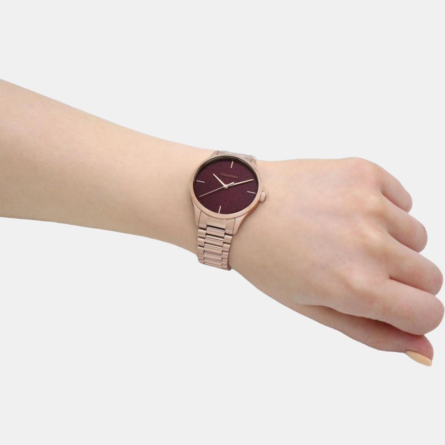 Ck Iconic Unisex Quartz Brown Dial Analog Stainless Steel Watch 25200169