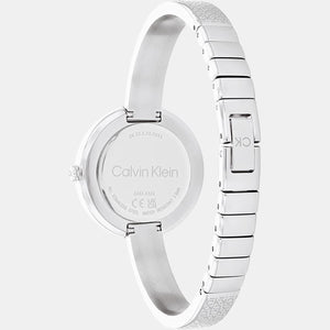 Ck Iconic Women Quartz Silver Dial Analog Stainless Steel Watch 25200181