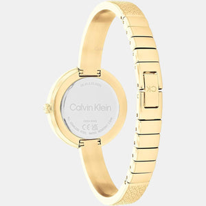 Ck Iconic Women Quartz Gold Dial Analog Stainless Steel Watch 25200182
