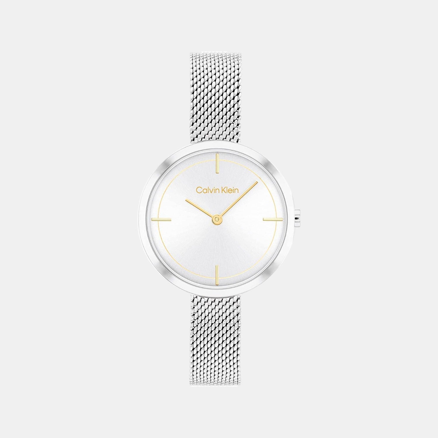 Ck Iconic Women Quartz Silver Dial Analog Stainless Steel Watch 25200184