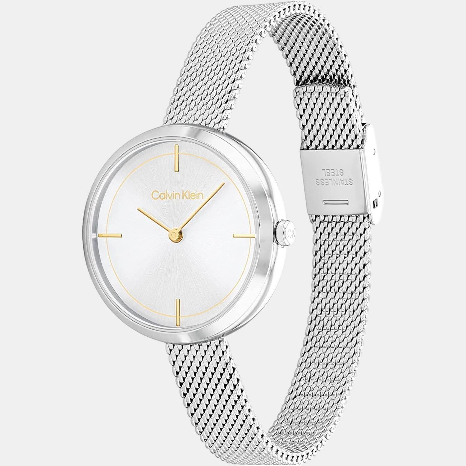 Ck Iconic Women Quartz Silver Dial Analog Stainless Steel Watch 25200184