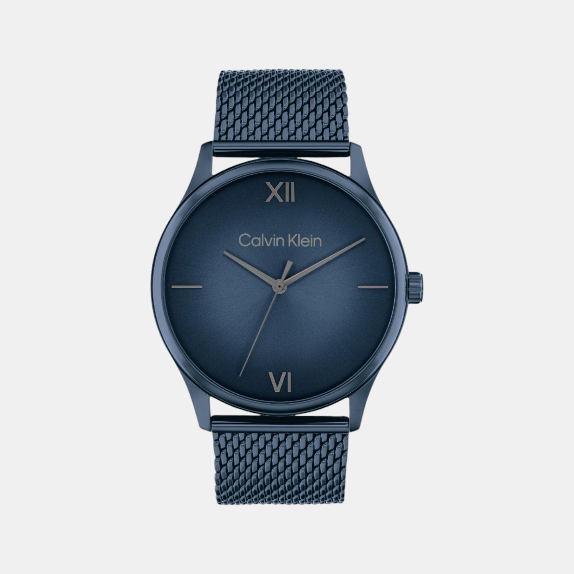 Ascend Men Quartz Blue Dial Analog Mesh Watch 25200451