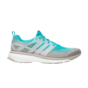 adidas Energy Boost Packer Shoes x Solebox Silfra Rift