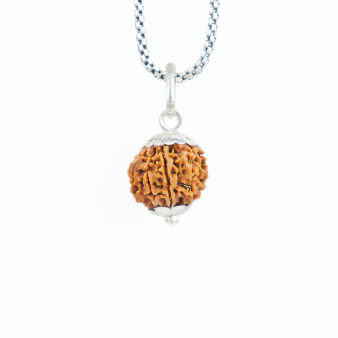 Silver Capping 9 Mukhi Rudraksha Pendant With Chain  ( Nepali )