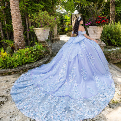 Applique Sweetheart Ball Gown by LizLuo Quince 26100