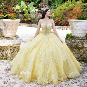 Applique Sweetheart Ball Gown by LizLuo Quince 26100