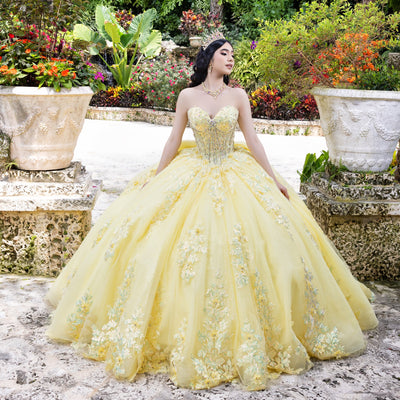 Applique Sweetheart Ball Gown by LizLuo Quince 26100