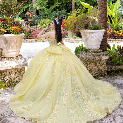 Applique Sweetheart Ball Gown by LizLuo Quince 26100