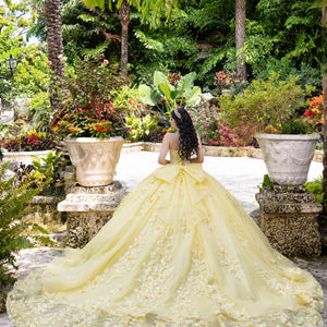 Applique Sweetheart Ball Gown by LizLuo Quince 26100