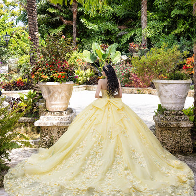 Applique Sweetheart Ball Gown by LizLuo Quince 26100