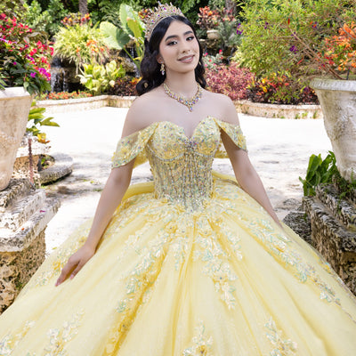 Applique Sweetheart Ball Gown by LizLuo Quince 26100