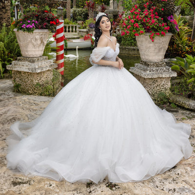 Puff Sleeve Strapless Ball Gown by LizLuo Quince 26102