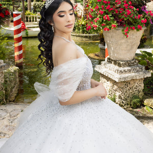 Puff Sleeve Strapless Ball Gown by LizLuo Quince 26102