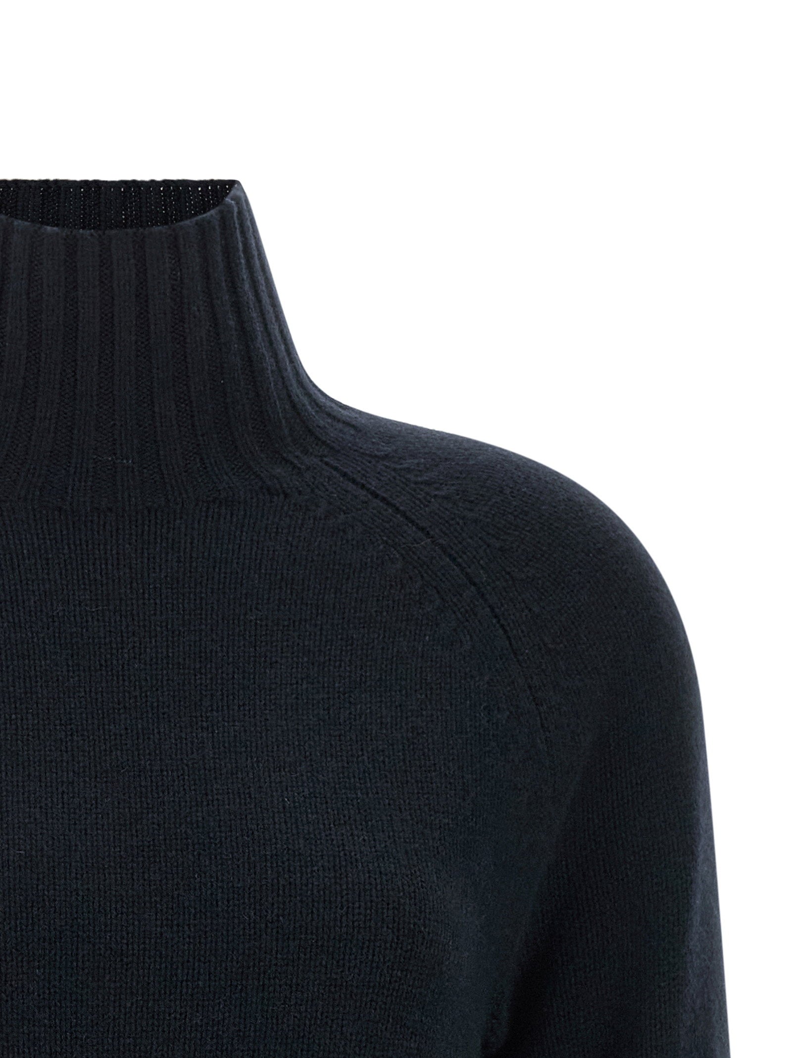 Max Mara 'S Mantova High Neck Sweater