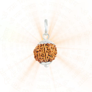 Silver Capping 9 Mukhi Rudraksha Pendant With Chain  ( Nepali )