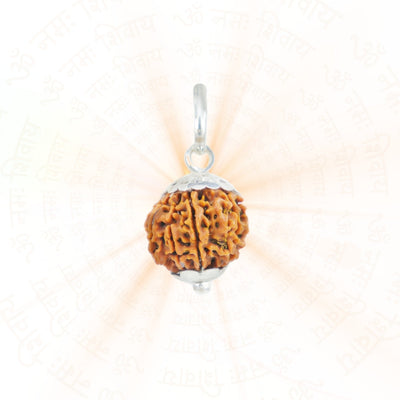 Silver Capping 9 Mukhi Rudraksha Pendant With Chain  ( Nepali )
