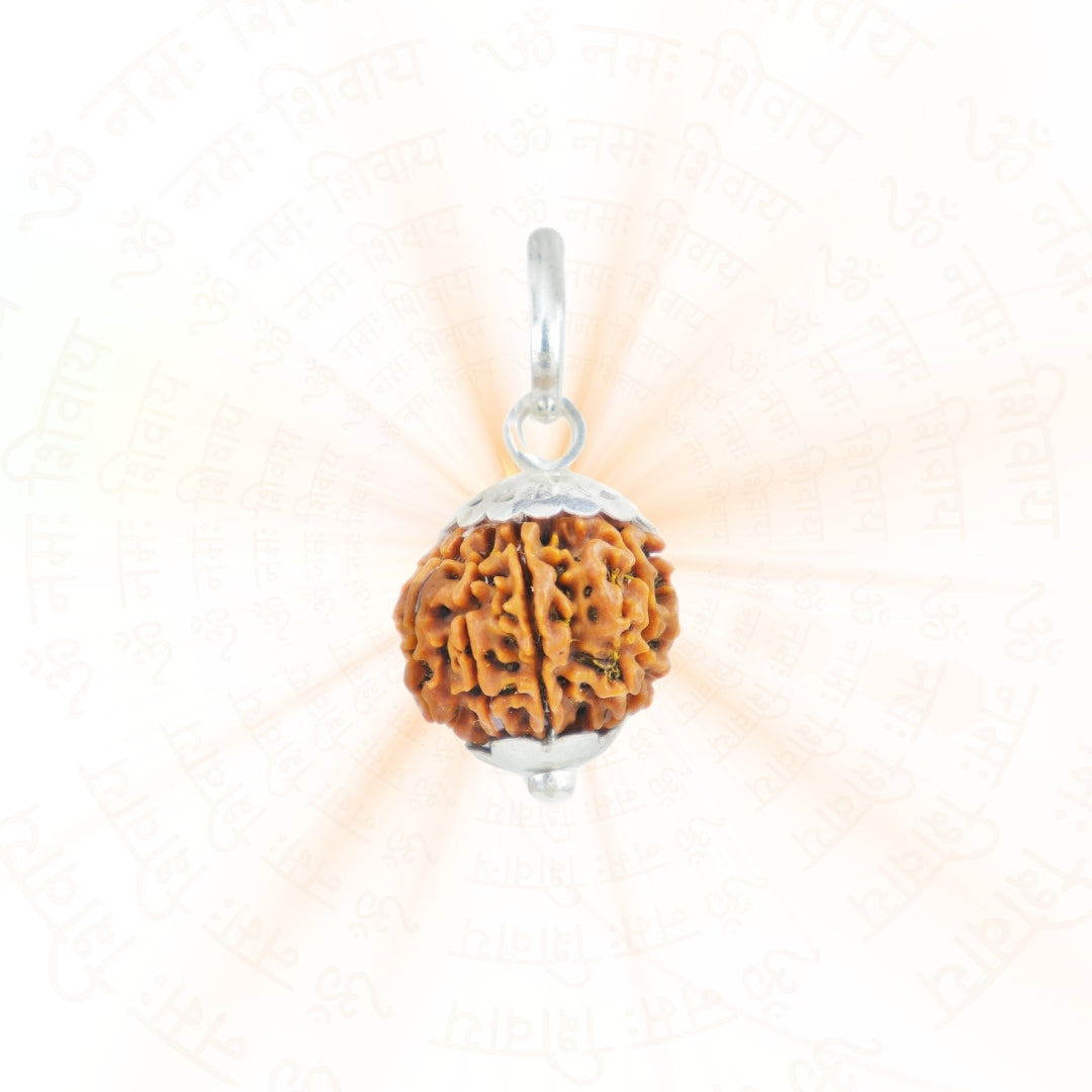 Silver Capping 9 Mukhi Rudraksha Pendant With Chain  ( Nepali )