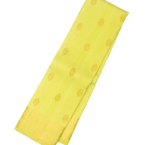 Pista Green Handloom Kanchipuram Silk Saree With Floral Motifs