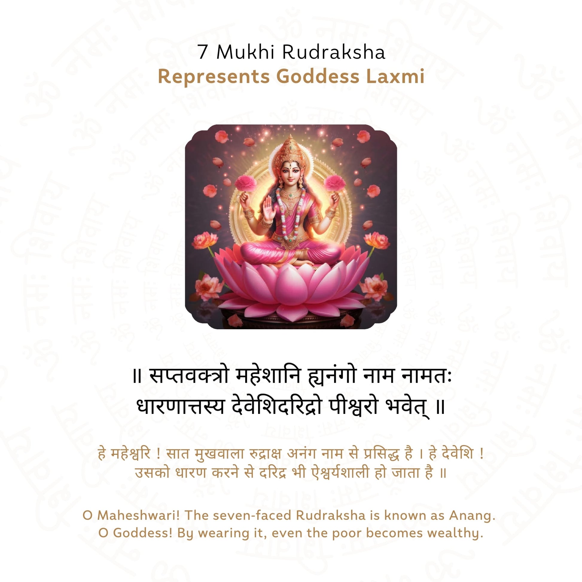 7 Mukhi Rudraksha ( Nepali )