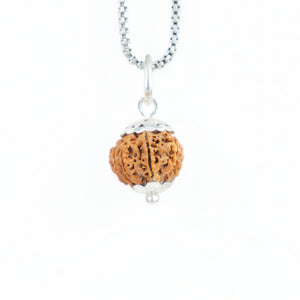 Silver Capping 10 Mukhi Rudraksha Pendant With Chain ( Nepali )