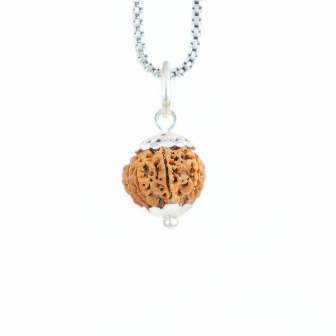 Silver Capping 10 Mukhi Rudraksha Pendant With Chain ( Nepali )