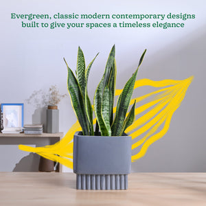 Immortal Nights Ceramic Planter