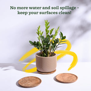 Wooden Plant Tray - Set of 3