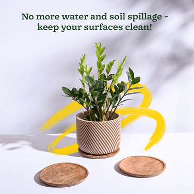 Wooden Plant Tray - Set of 3