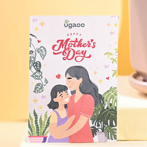 Syngonium Pink For Mother's Day Gifting