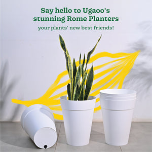 Roma Plastic Planter