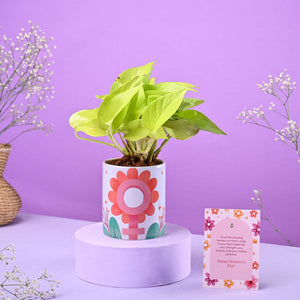 Money Plant Golden in Ceramic Pot Women's Day Gift