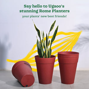 Roma Plastic Planter