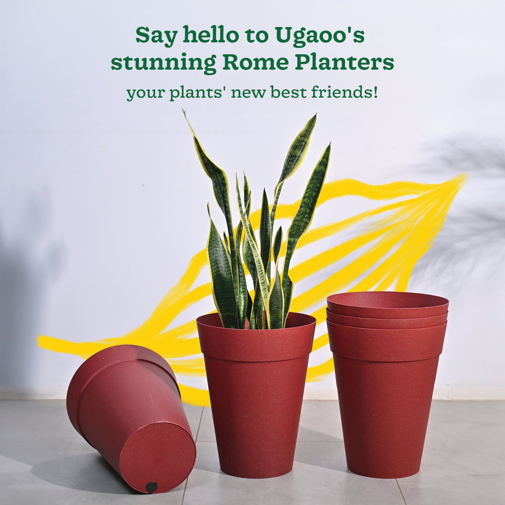 Roma Plastic Planter