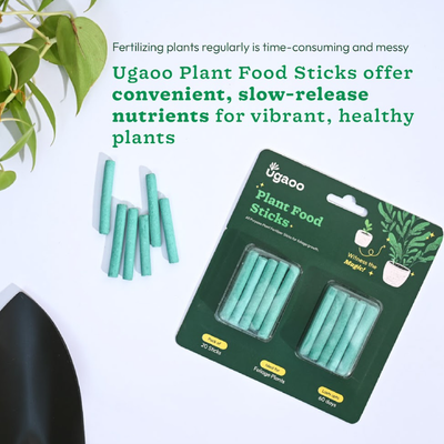 Plant Food Fertilizer Stick - Green & Rootmaster