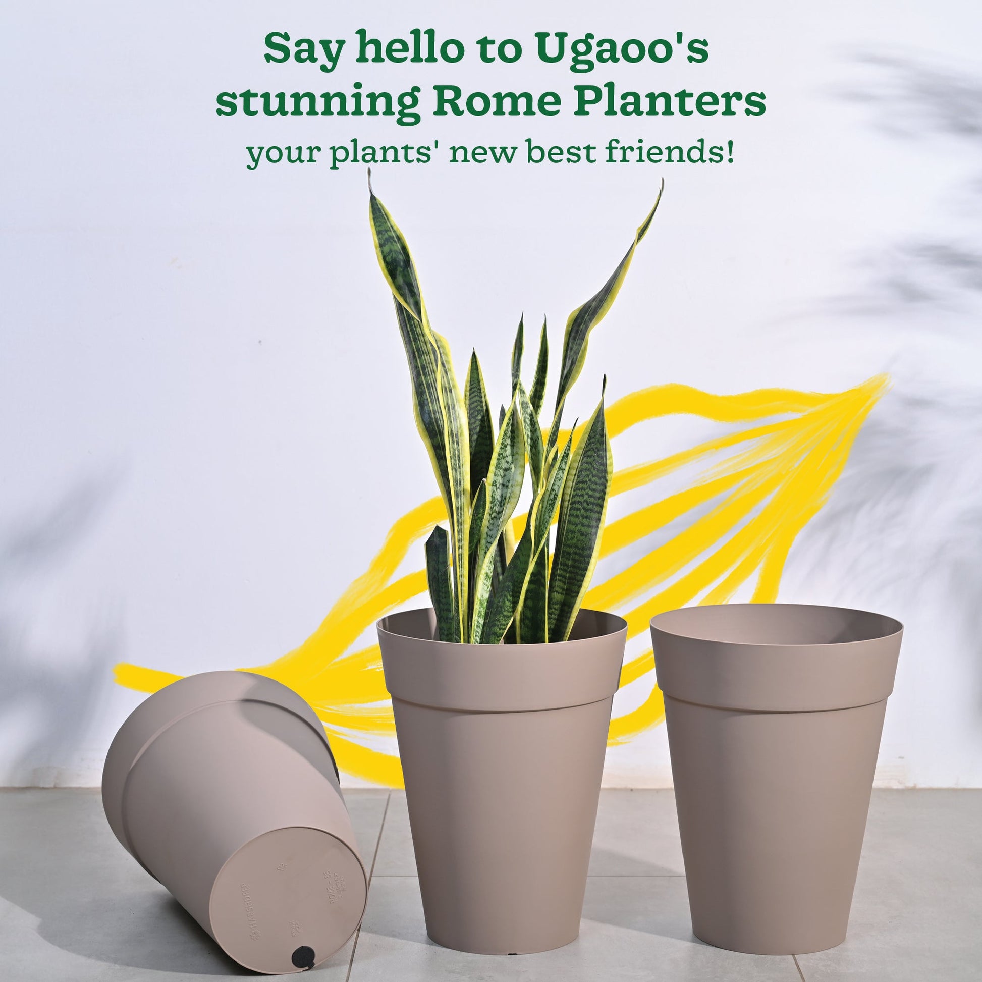 Roma Plastic Planter