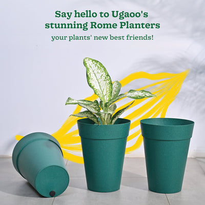 Roma Plastic Planter