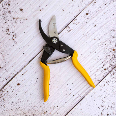 Heavy Duty Bypass Pruner