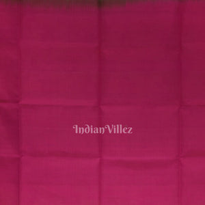 Parrot Green With Pink Dual Tone Pochampally Ikat Handloom Silk Saree