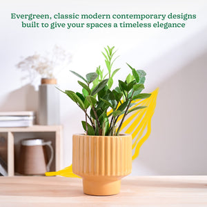 Forms of Love Ceramic Planter