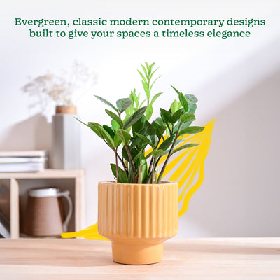 Forms of Love Ceramic Planter